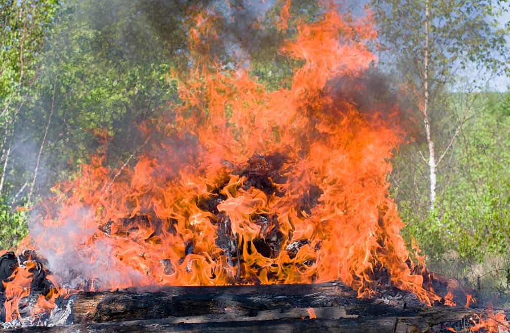 Flávio Dino estabelece orçamento de emergência para combater incêndios no Brasil 3 queimadas