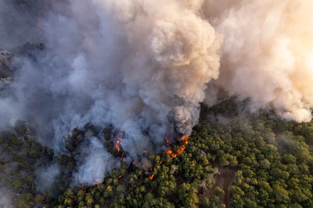 Com queimadas em alta, Brasil bate recorde de emissões de carbono 3 queimadas