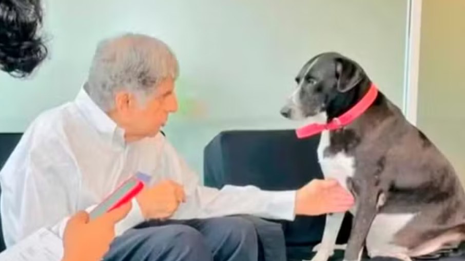 O magnata exigiu que cuidassem bem do seu cão Goa até o final da vida dele O magnata exigiu que cuidassem bem do seu cão Goa até o final da vida dele