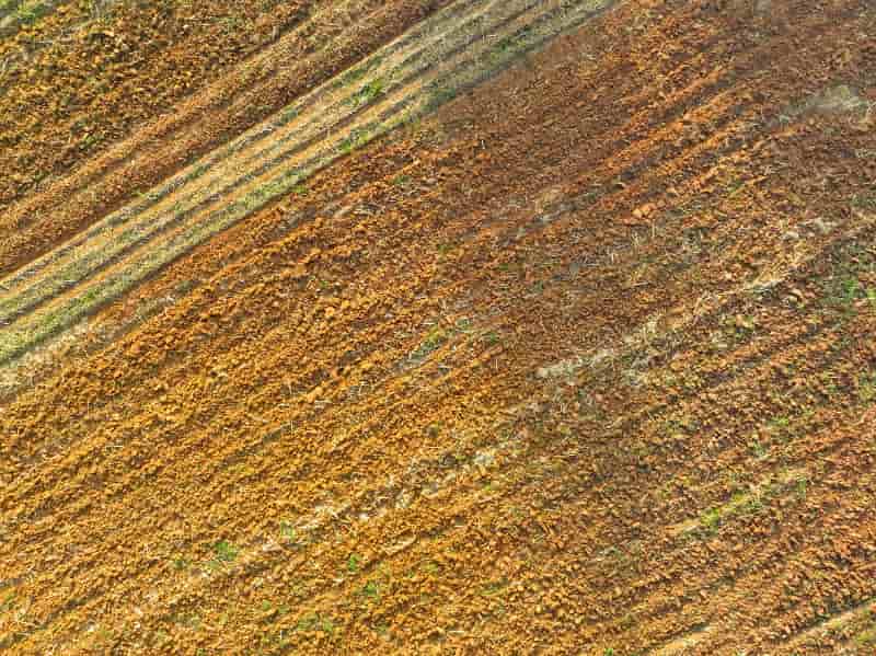 Chamada pública possibilita parcerias em pesquisas com agropecuária regenerativa 2 agropecuária regenerativa