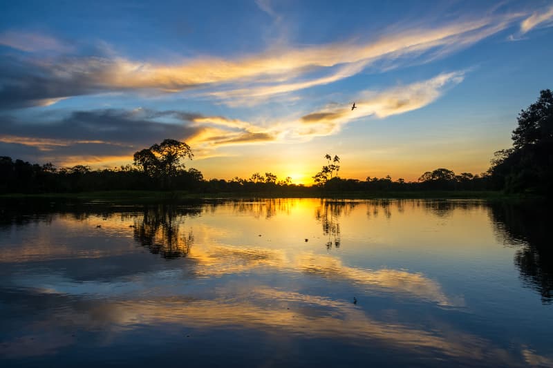 Lagos na Amazônia registram maior média de temperatura para o mês de agosto 2 Lagos na Amazônia