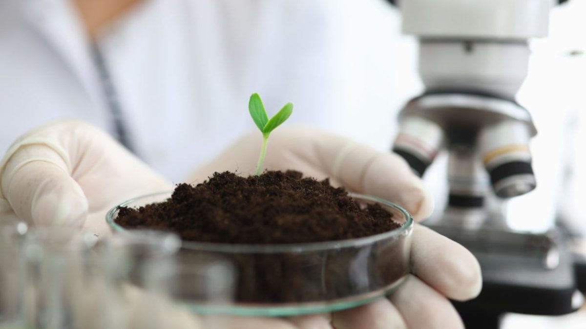 Produção de bioinsumos on farm será ilegal em 2025 caso nova lei não seja aprovada 3 Associações de produtores lançam campanha Eu confio no On Farm.