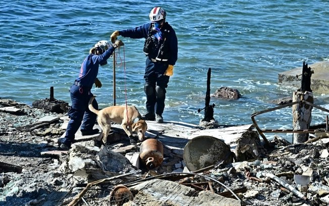 A cadela de busca e salvamento Tulla lidera busca por possíveis corpos em propriedades costeiras devastadas pelo fogo ao longo da rodovia da costa do Pacífico A cadela de busca e salvamento Tulla lidera busca por possíveis corpos em propriedades costeiras devastadas pelo fogo ao longo da rodovia da costa do Pacífico
