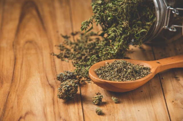 Novas diretrizes da cannabis medicinal indica mercado promissor que pode expandir no Brasil