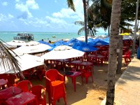 Imagem de praia completamente tomada por guarda-sois