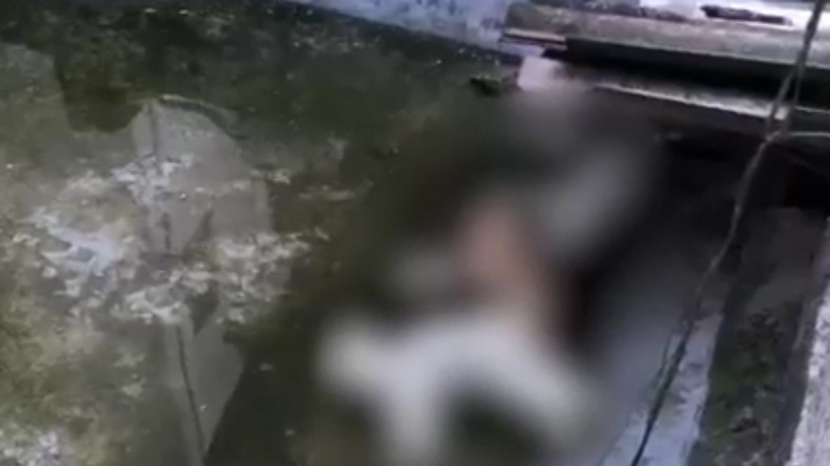 Chacina de gatos em Niterói Chacina de gatos em Niterói