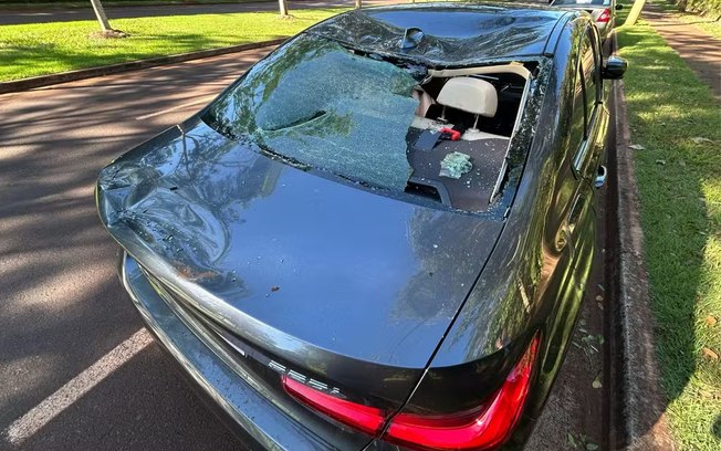 Touro invade avenida em Ribeirão Preto e pula sobre BMW com criança dentro