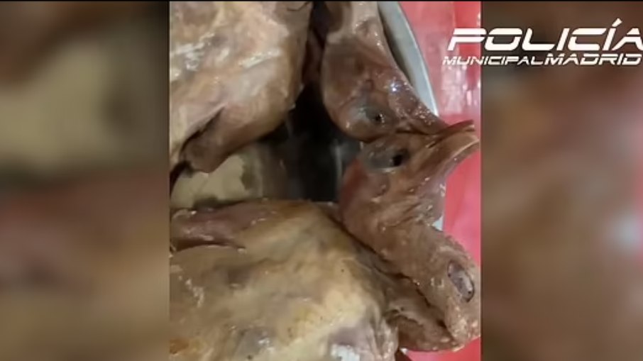 A polícia confirmou que pombos depenados foram usados no lugar de pato pelo restaurante