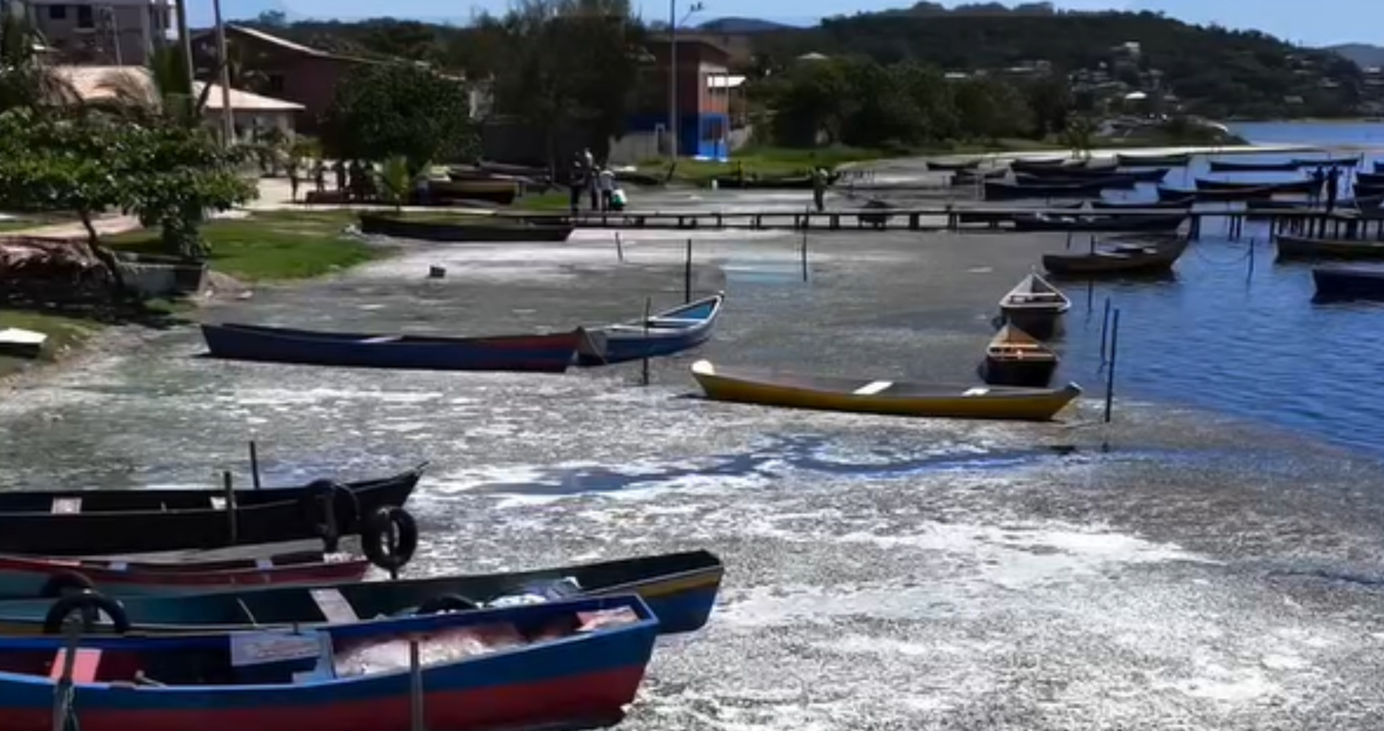 Alerta ambiental em Cabo Frio: análises suspeitam de despejo químico ilegal da Prolagos na Lagoa de Araruama