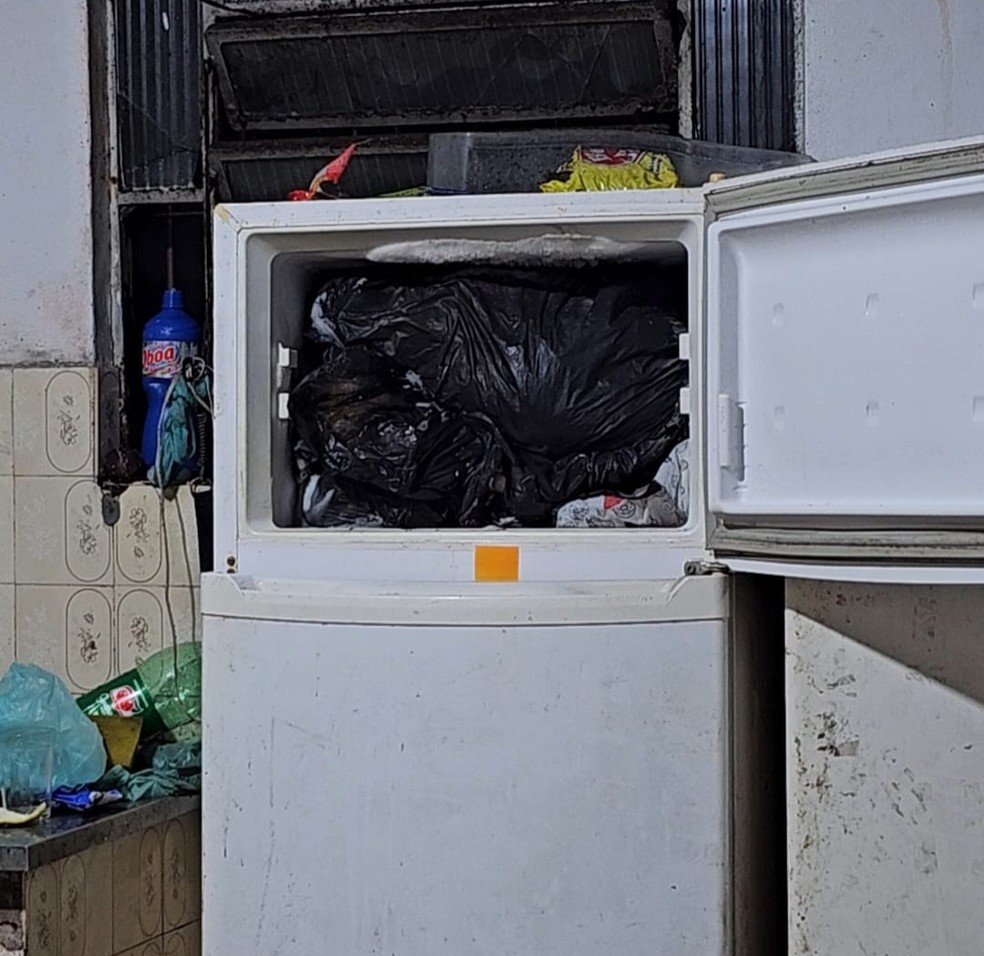 Polícia prende cardiologista flagrado com cães congelados no freezer de casa em Arraial do Cabo: ‘Verdadeira cena de horror’