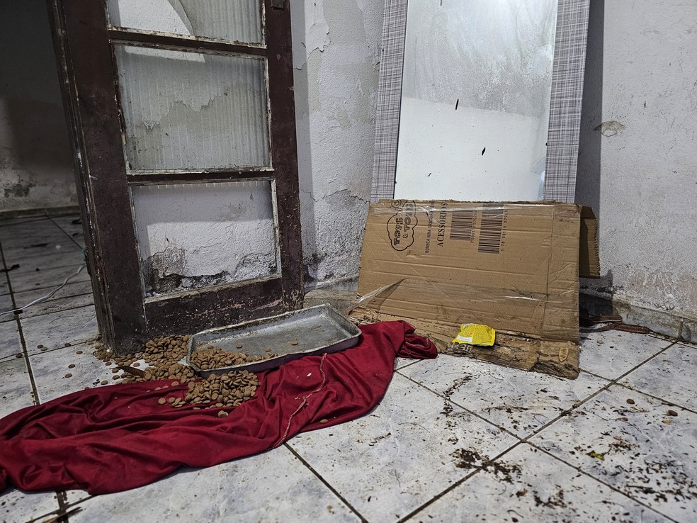 No local, os policiais encontraram um ambiente insalubre e de extrema negligência. — Foto: Imagens Vanessa Rodrigues, Gabriel Aguiar e Leonardo Sandre / PMAC
