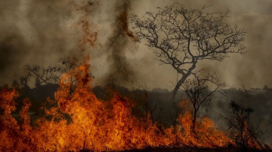 Nos primeiros meses de 2025, houve redução das queimadas no Brasil