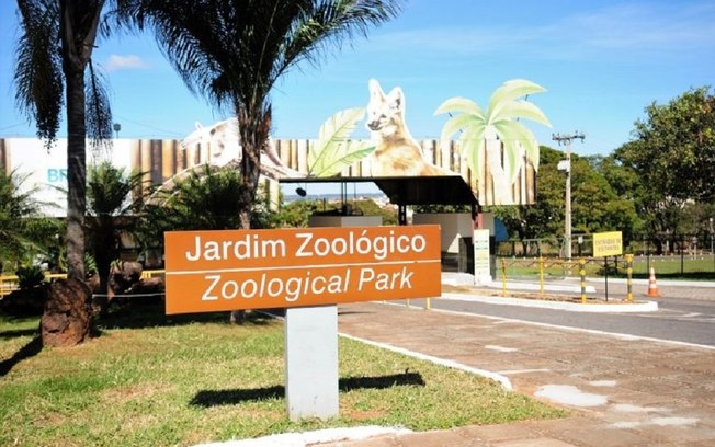 GDF confirma caso de gripe aviária no Zoológico de Brasília GDF confirma caso de gripe aviária no Zoológico de Brasília