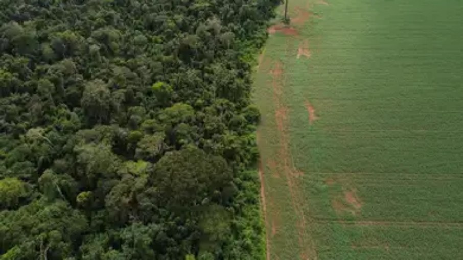 PL que trata da nova legislação ambiental foi aprovada no Senado e segue para a Câmara PL que trata da nova legislação ambiental foi aprovada no Senado e segue para a Câmara