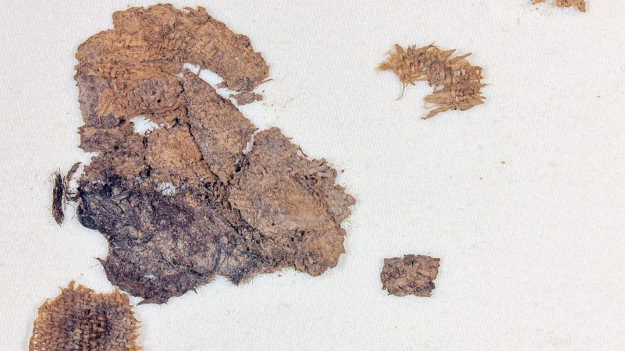 Arqueólogos encontraram uma bolsa de linho contendo fragmentos de pólen da era viking com mais de mil anos Arqueólogos encontraram uma bolsa de linho contendo fragmentos de pólen da era viking com mais de mil anos