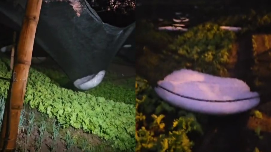Granizo causa estragos em estufa no distrito de São João de Itaguaçu Granizo causa estragos em estufa no distrito de São João de Itaguaçu