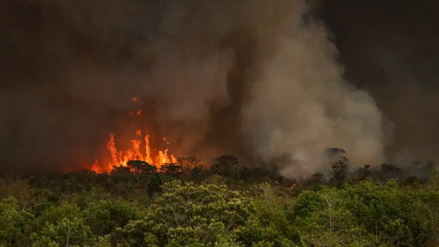 Há risco de queimadas em vários pontos do território paulista Há risco de queimadas em vários pontos do território paulista
