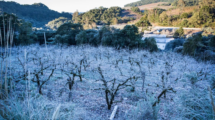 As geadas ocorrem quando as temperaturas mínimas se aproximam de 0°C As geadas ocorrem quando as temperaturas mínimas se aproximam de 0°C