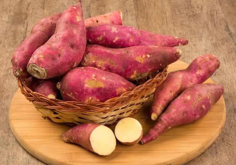 Sabia que batata-doce é rica em vitaminas e fibras? Veja novo estudo Cientistas da China comprovam o que os atletas já sabiam. A batata-doce é rica em fibras, vitaminas, nutrientes e faz muito bem à saúde. - Foto: naturvida