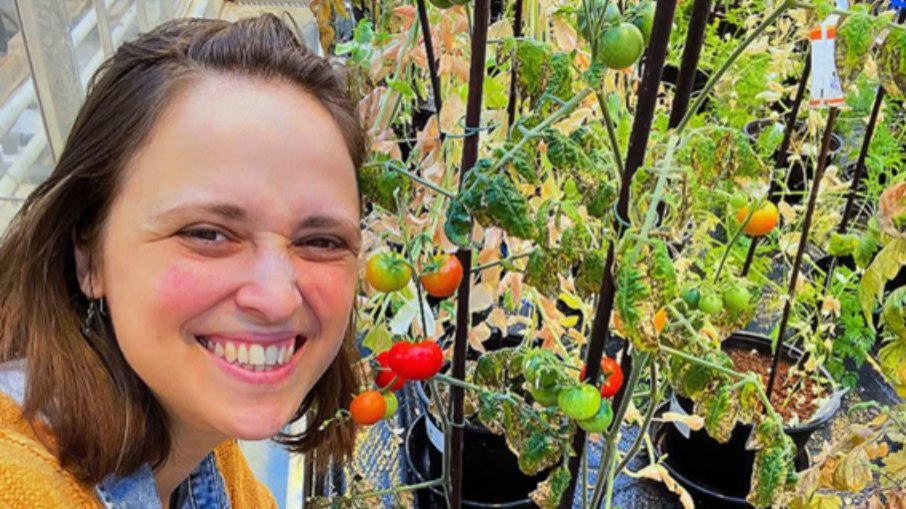 Tomates-cereja cultivados com técnica inspirada em saberes maias e adaptada ao solo marciano simulado Tomates-cereja cultivados com técnica inspirada em saberes maias e adaptada ao solo marciano simulado