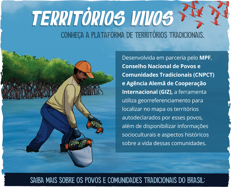 Conheça o projeto territórios vivos