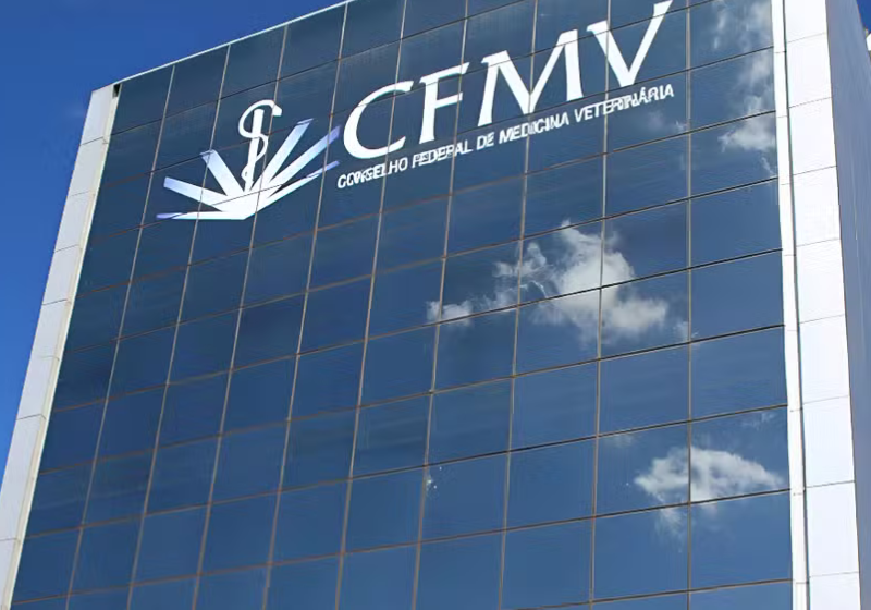 Sai concurso do CFMV para veterinários, advogados e publicitários; Salários até R$ 11 mil O concurso do CFMV será em Brasília. As inscrições começam na semana que vem. - Foto: CFMV