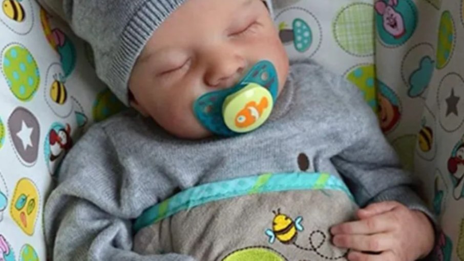 Bebês reborn são uma febre entre colecionadores Bebês reborn são uma febre entre colecionadores