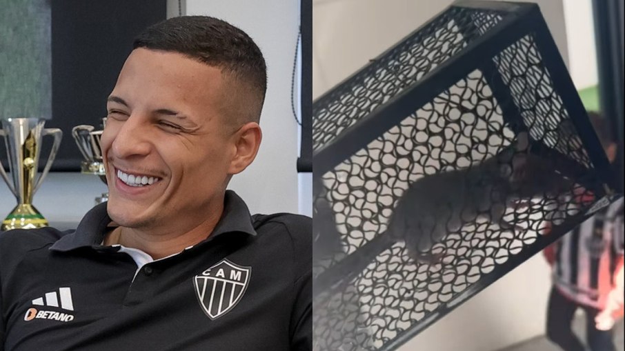 Arana encerrou a Arana encerrou a
