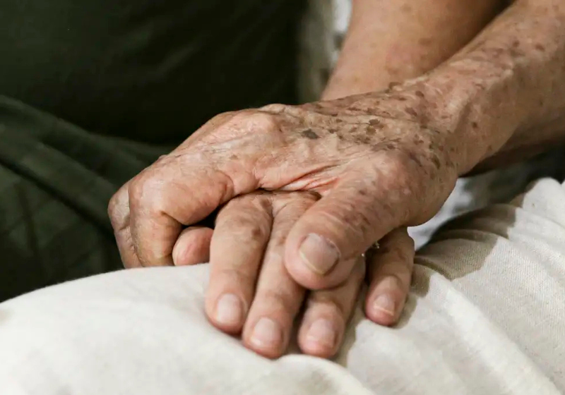 Cientistas criam terapia genética para Alzheimer que preserva função cognitiva Esta nova terapia genética contra o Alzheimer teve ótimos resultados ao ser usada em camundongos nos Estados Unidos. - Foto: Marcelo Camargo/Agência Brasil