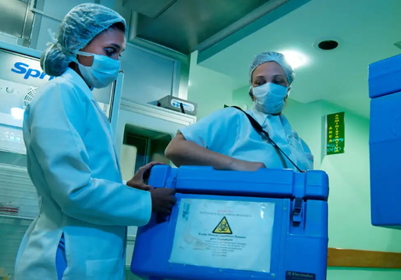SUS bate recorde de transplantes e fica entre os maiores sistemas públicos de saúde do mundo O SUS bateu recorde de transplantes em 2024. Foram mais de 30 mil. - Foto: Ministério da Saúde