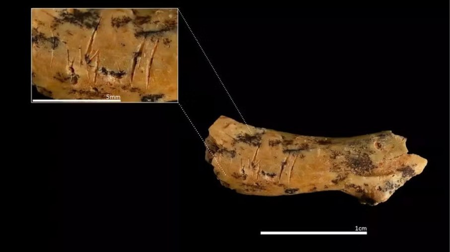 Vértebra infantil de 850 mil anos revela canibalismo antigo