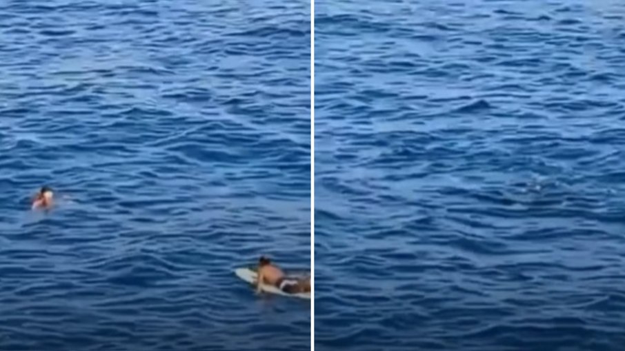 Pescador é salvo de afogamento e baleia surge durante resgate Pescador é salvo de afogamento e baleia surge durante resgate