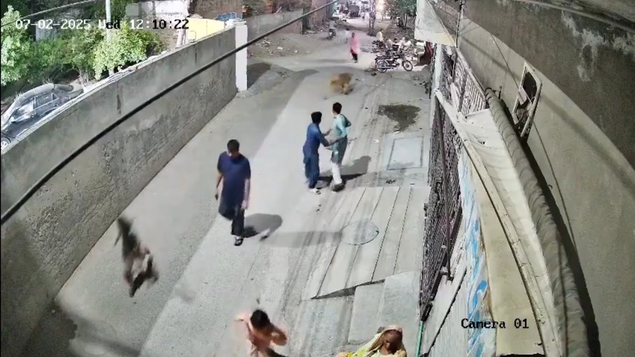 Leão ataca mulher e crianças no Paquistão Leão ataca mulher e crianças no Paquistão