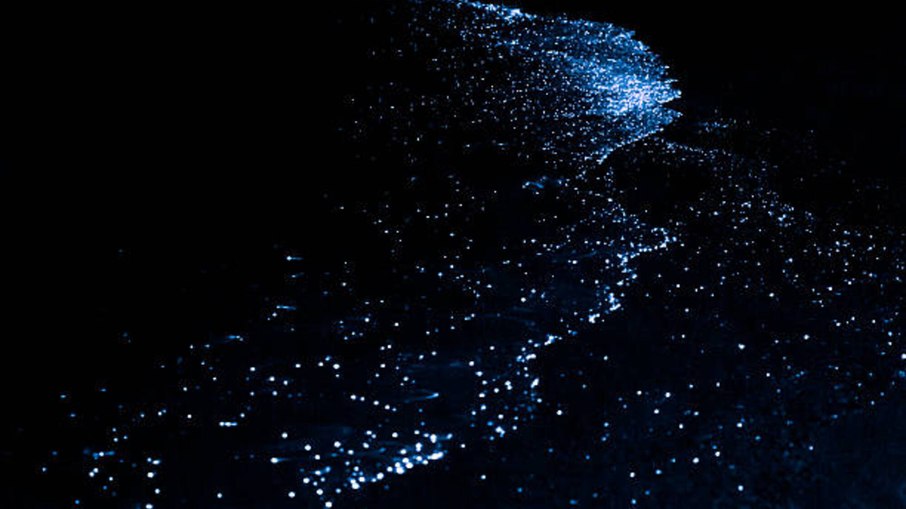 Bioluminescência Bioluminescência