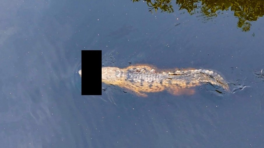Garoto foi devorado por crocodilos Garoto foi devorado por crocodilos