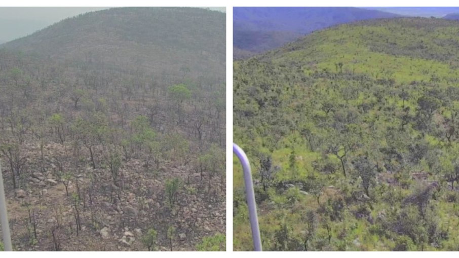 Área queimada na região da Serra do Amolar, no Pantanal, em setembro de 2024 e a mesma área,em junho de 2025 Área queimada na região da Serra do Amolar, no Pantanal, em setembro de 2024 e a mesma área,em junho de 2025