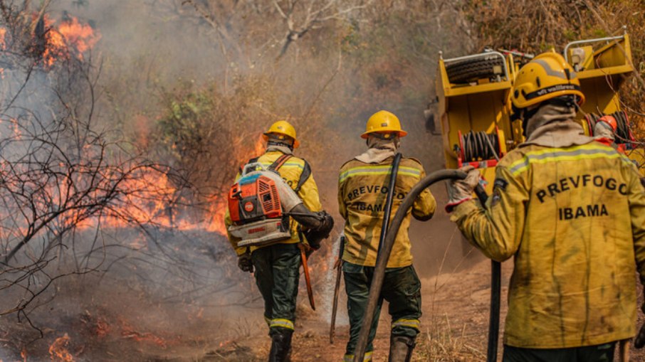 Depois do Pantana, Amazônia foi o bioma com melhor resultado na queda de áreas queimadas neste ano Depois do Pantana, Amazônia foi o bioma com melhor resultado na queda de áreas queimadas neste ano