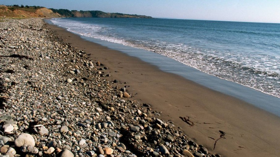 Perto das praias rochosas do interior da Nova Escócia, o palpite de um pesquisador levou à descoberta de uma nova espécie pré-histórica. Perto das praias rochosas do interior da Nova Escócia, o palpite de um pesquisador levou à descoberta de uma nova espécie pré-histórica.
