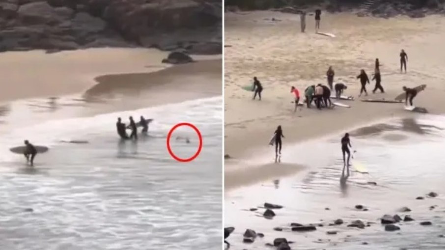 Vídeo mostra tubarão perseguindo e atacando adolescente