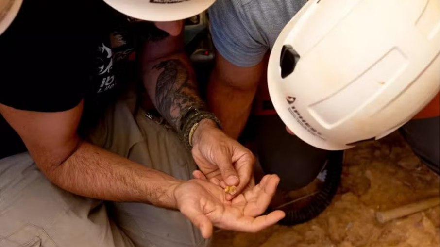 Momento da descoberta de um dente do Homo antecessor