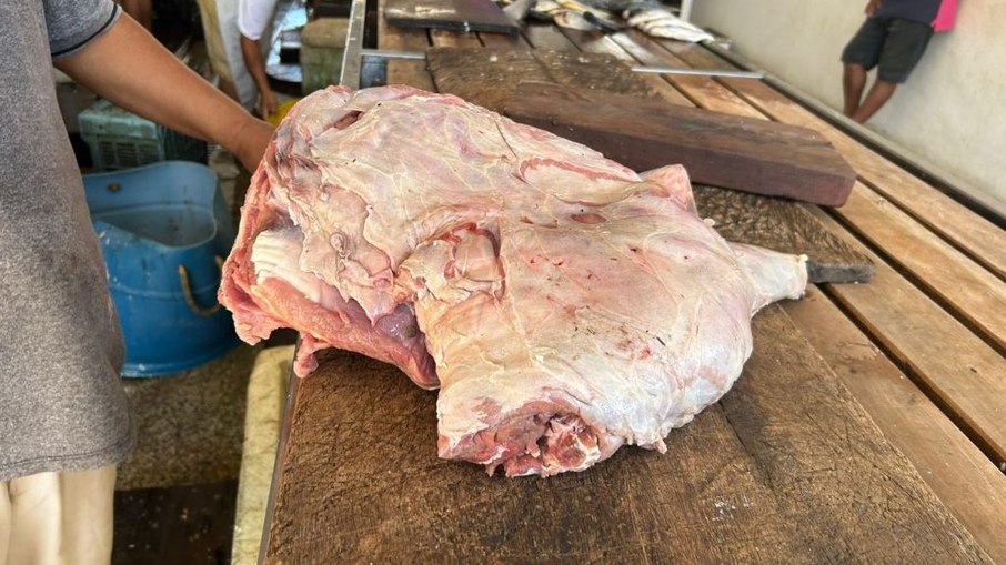 Venda ilegal de carne de capivara é flagrada no Amazonas Venda ilegal de carne de capivara é flagrada no Amazonas