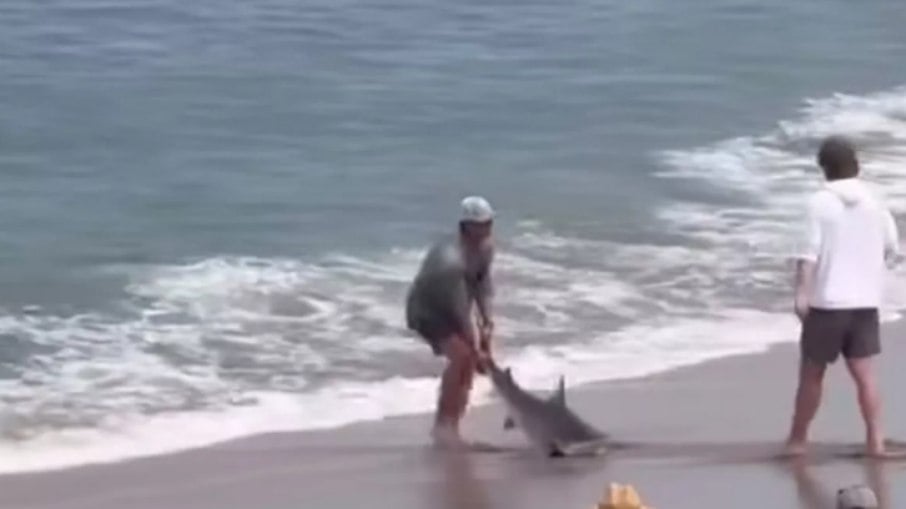 Momento em que rapaz arrasta tubarão pela cauda Momento em que rapaz arrasta tubarão pela cauda