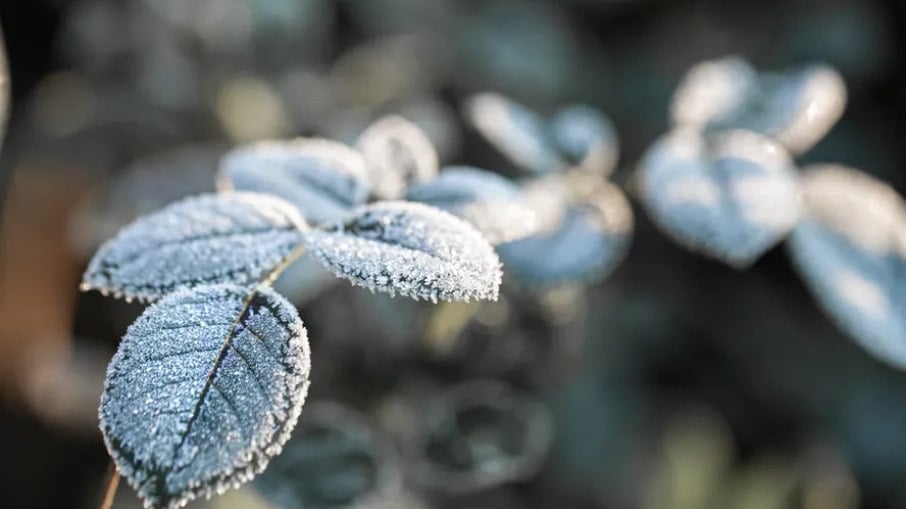 Apesar do frio no Sul, maior parte do país terá sol Apesar do frio no Sul, maior parte do país terá sol