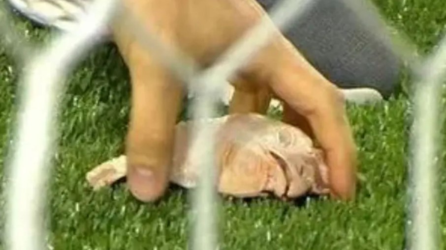 Cabeça de galinha arremessada durante o Derby Paulista do Brasileirão de 2025