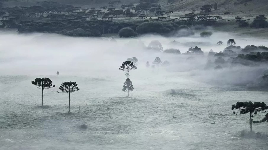 Geada em São Joaquim (SC).