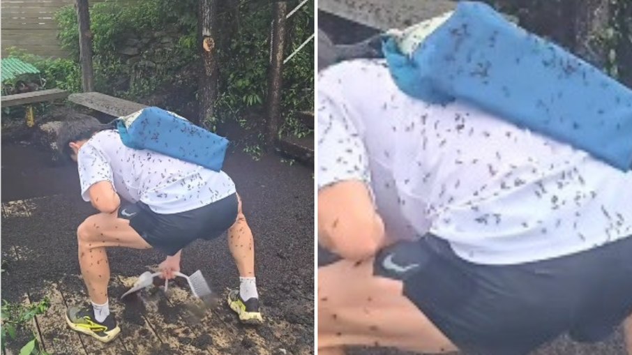Rapz remove insetos mostos e é atacado por vários outros Rapz remove insetos mostos e é atacado por vários outros