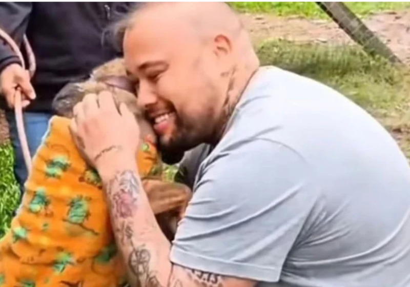 Tutor encontra cão perdido na enchente do RS há mais de 1 ano; vídeo O tutor emocionou muita gente ao registrar o encontro com o cão, perdido há mais de um ano na enchente do RS - Foto: reprodução Instagram