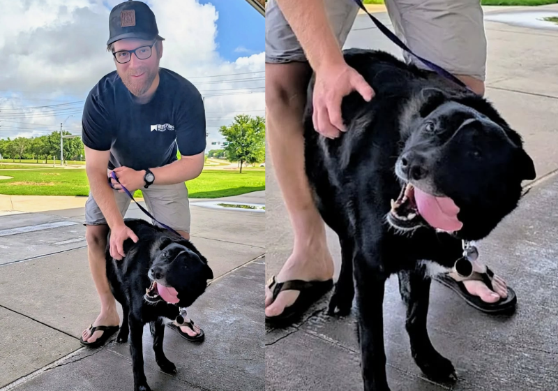 Ian é carteiro e adotou o cachorro Floyd, que sempre o esperava para brincar. Ele descobriu que o antigo tutor do pet havia falecido no Texas, EUA. - Foto: reprodução Facebook