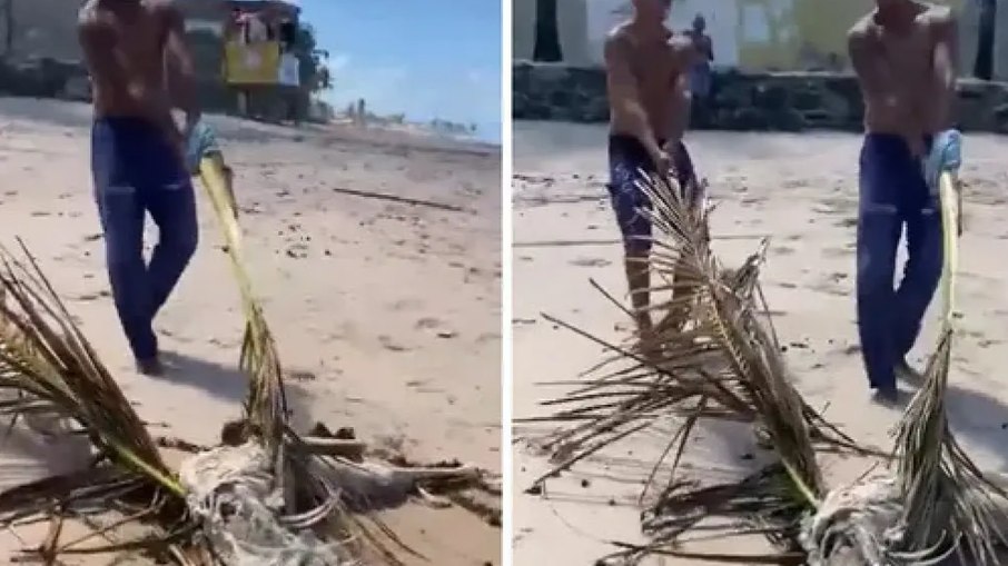 Ossada humana foi encontrada por banhistas em praia. Ossada humana foi encontrada por banhistas em praia.