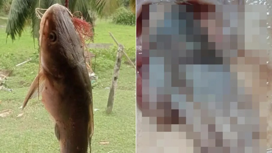 Pescador compartilhou o post nas redes sociais Pescador compartilhou o post nas redes sociais